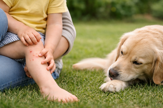 Wie gefährlich sind Grasmilben? – Plagegeister und die Risiken für Kinder und Haustiere